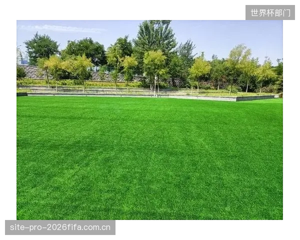 新型运动草坪的渗透速度达到每小时5000升-平方米,是传统草坪的2倍,对场地维护技术志愿者的要求显著提高 新型运动草坪的渗透速度达到每小时5000升-平方米,是传统草坪的2倍,对场地维护技术志愿者的要求显著提高